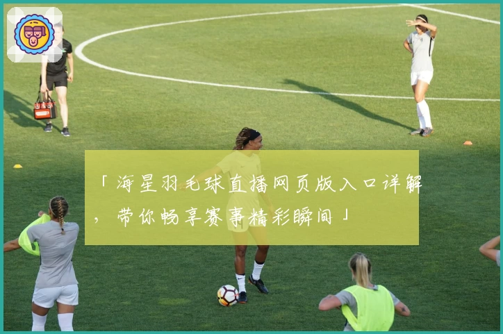 「海星羽毛球直播网页版入口详解，带你畅享赛事精彩瞬间」