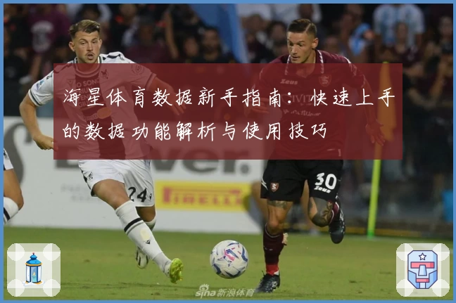 海星体育数据新手指南：快速上手的数据功能解析与使用技巧