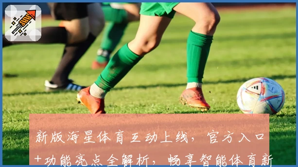 新版海星体育互动上线，官方入口+功能亮点全解析，畅享智能体育新体验