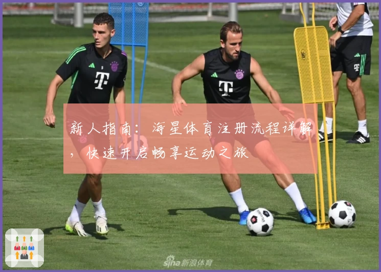 新人指南：海星体育注册流程详解，快速开启畅享运动之旅