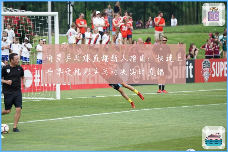 海星乒乓球直播新人指南,快速上手享受精彩乒乓对决实时直播